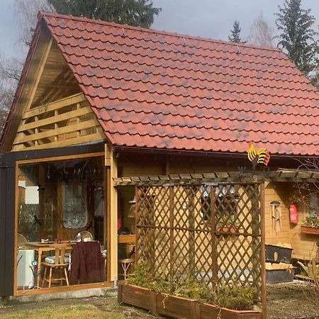Holzhaus Mit Direktem Wasserzugang In Berlin-Koepenick Exteriér fotografie